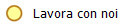 Lavora con noi
