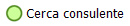 Cerca consulente
